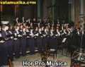 hor-pro-musica-06