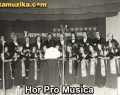 hor-pro-musica-01